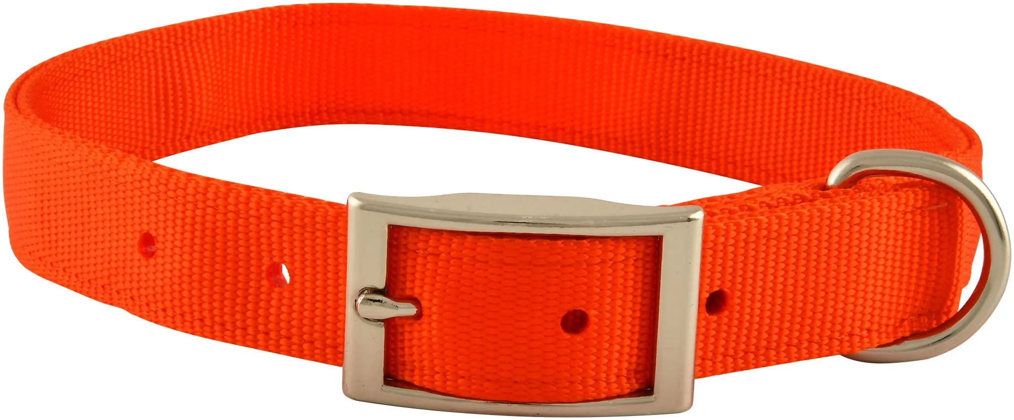 1" Nylon Dog Collar, 22"L