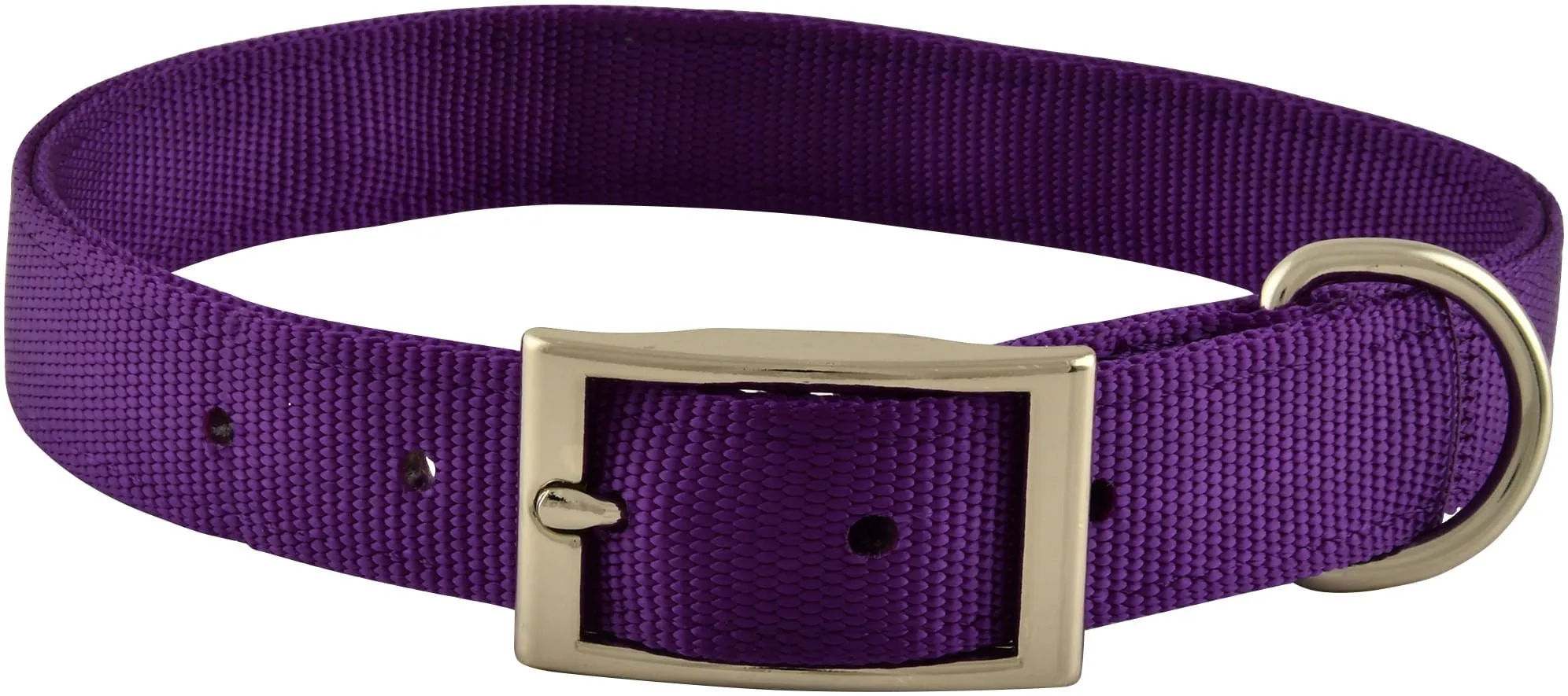 1" Nylon Dog Collar, 22"L