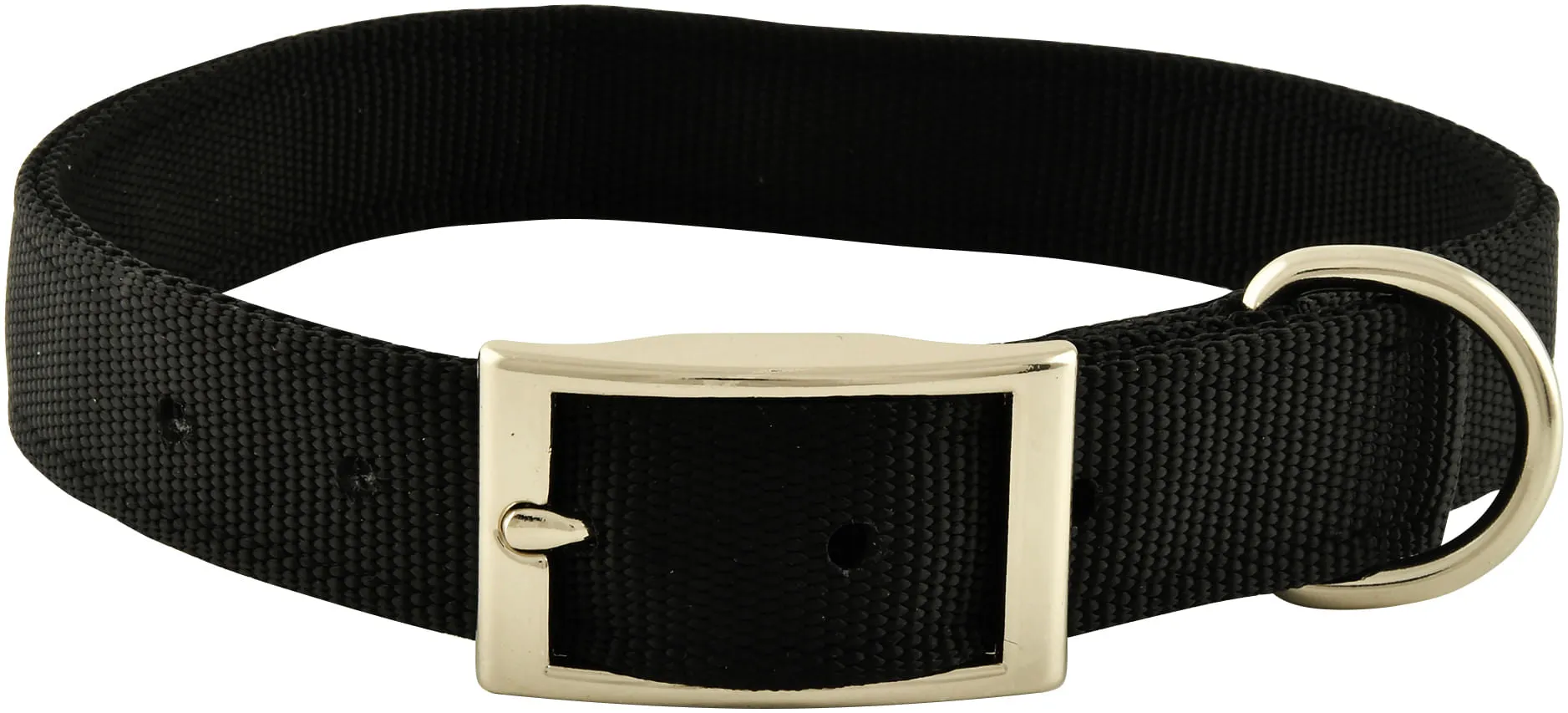 1" Nylon Dog Collar, 22"L