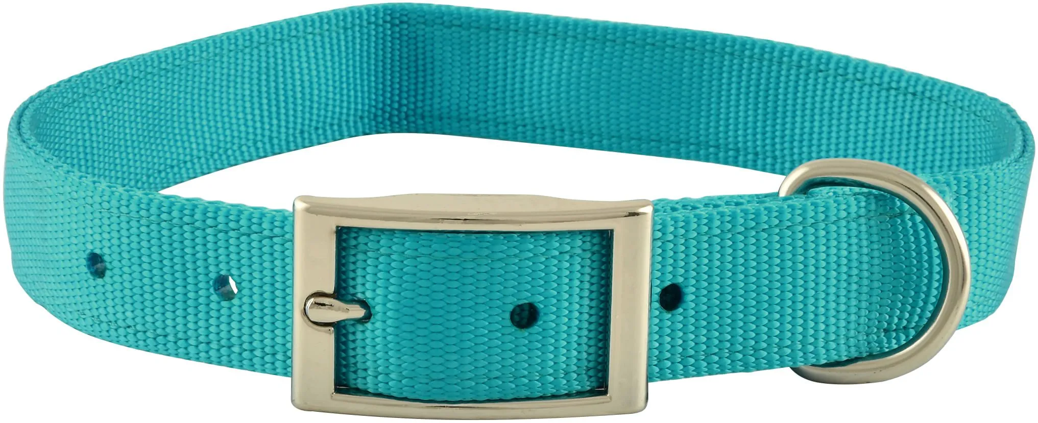 1" Nylon Dog Collar, 22"L