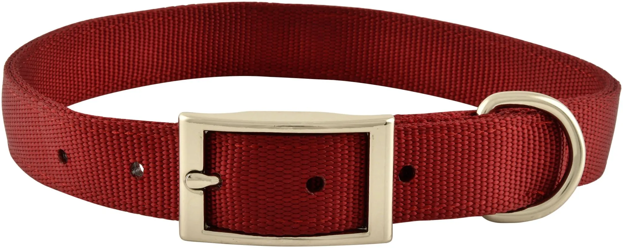 1" Nylon Dog Collar, 22"L