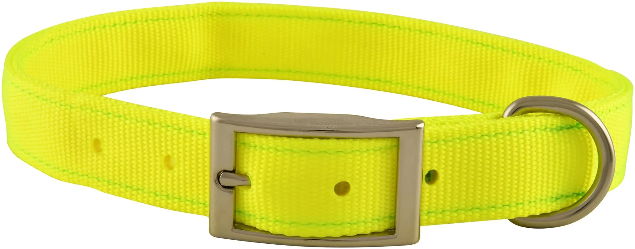 1" Nylon Dog Collar, 22"L