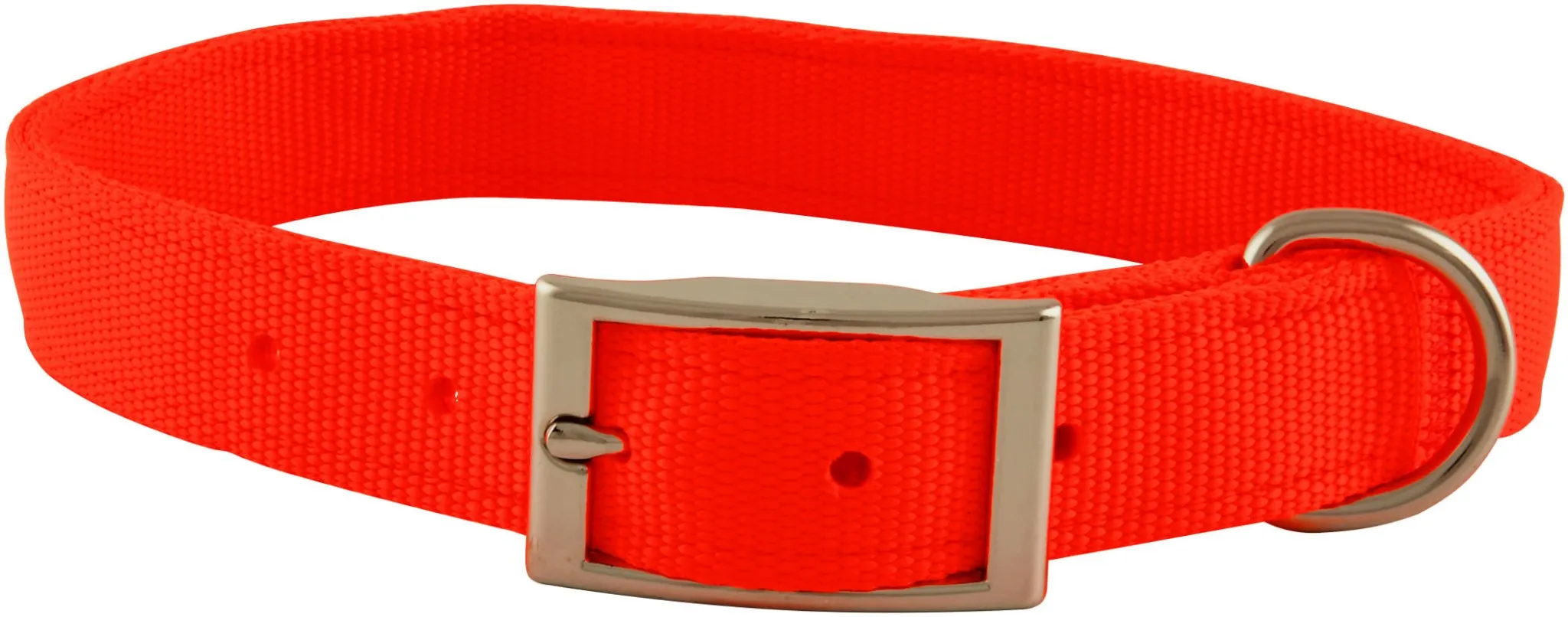 1" Nylon Dog Collar, 22"L