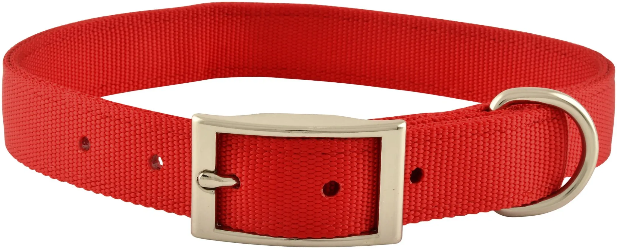 1" Nylon Dog Collar, 22"L