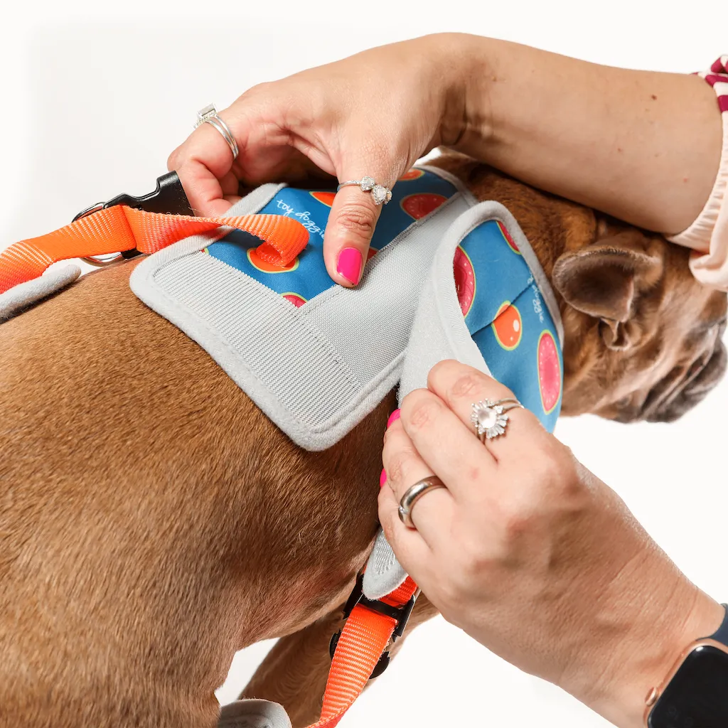 3 in 1 Cooling & Anti-Relief Dog Harness | Minty Print