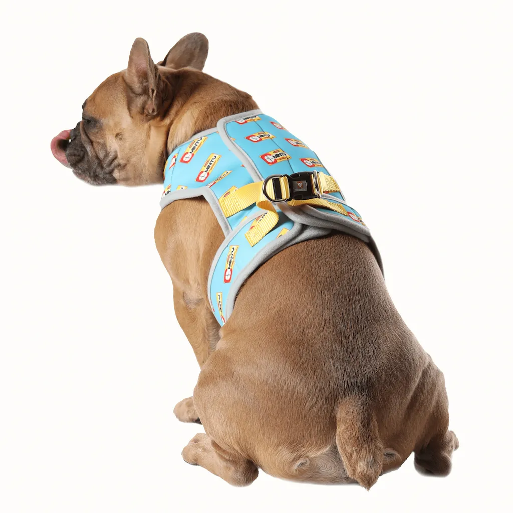 3 in 1 Cooling & Anti-Relief Dog Harness | Minty Print