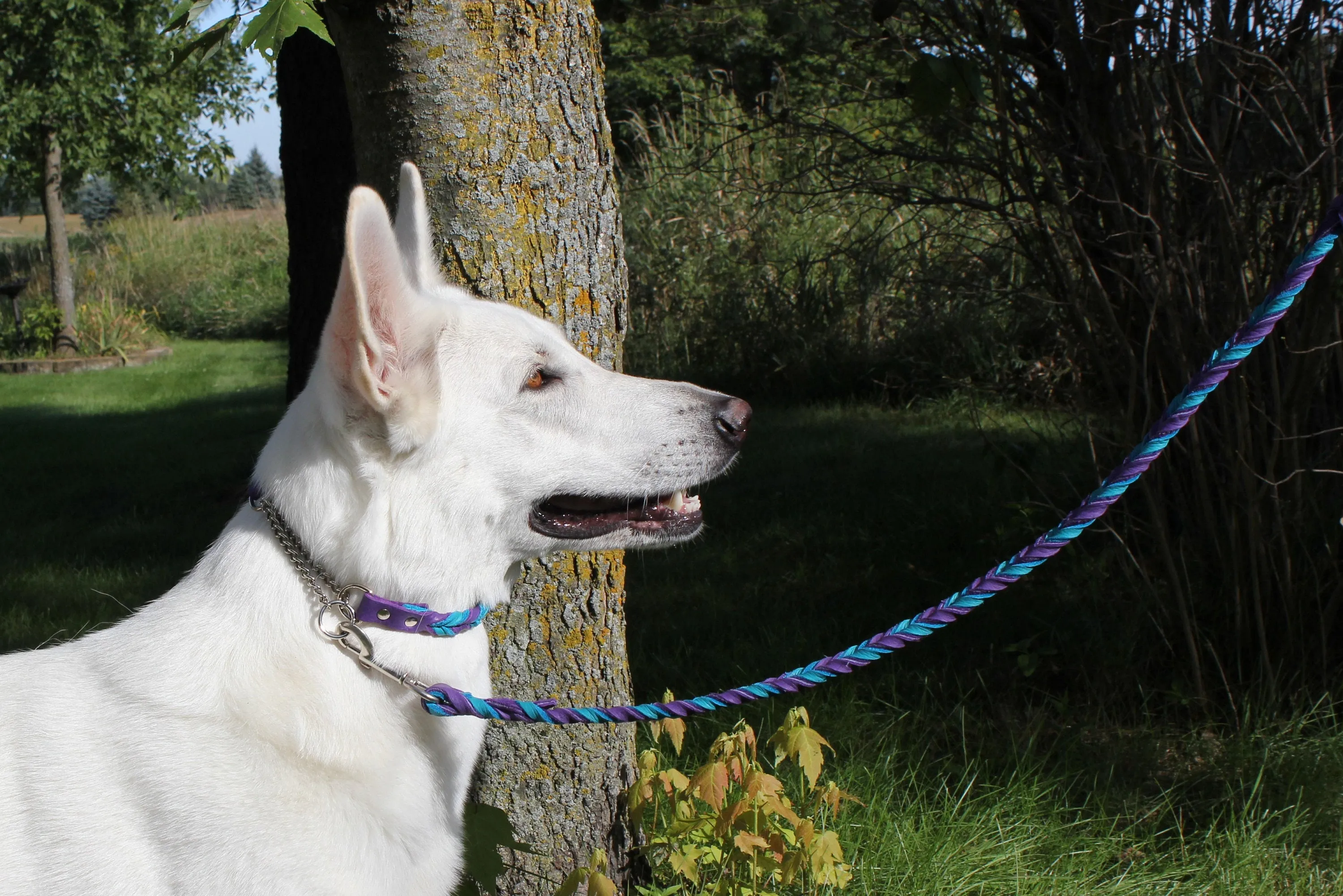 Braided Leather Adjustable Martingale Collars