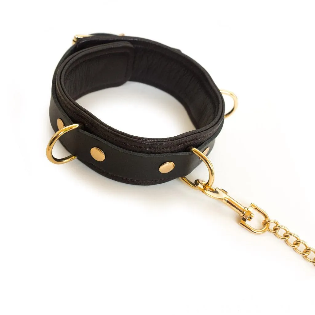 Brown Leather Collar & Leash with Gold Accent Hardware