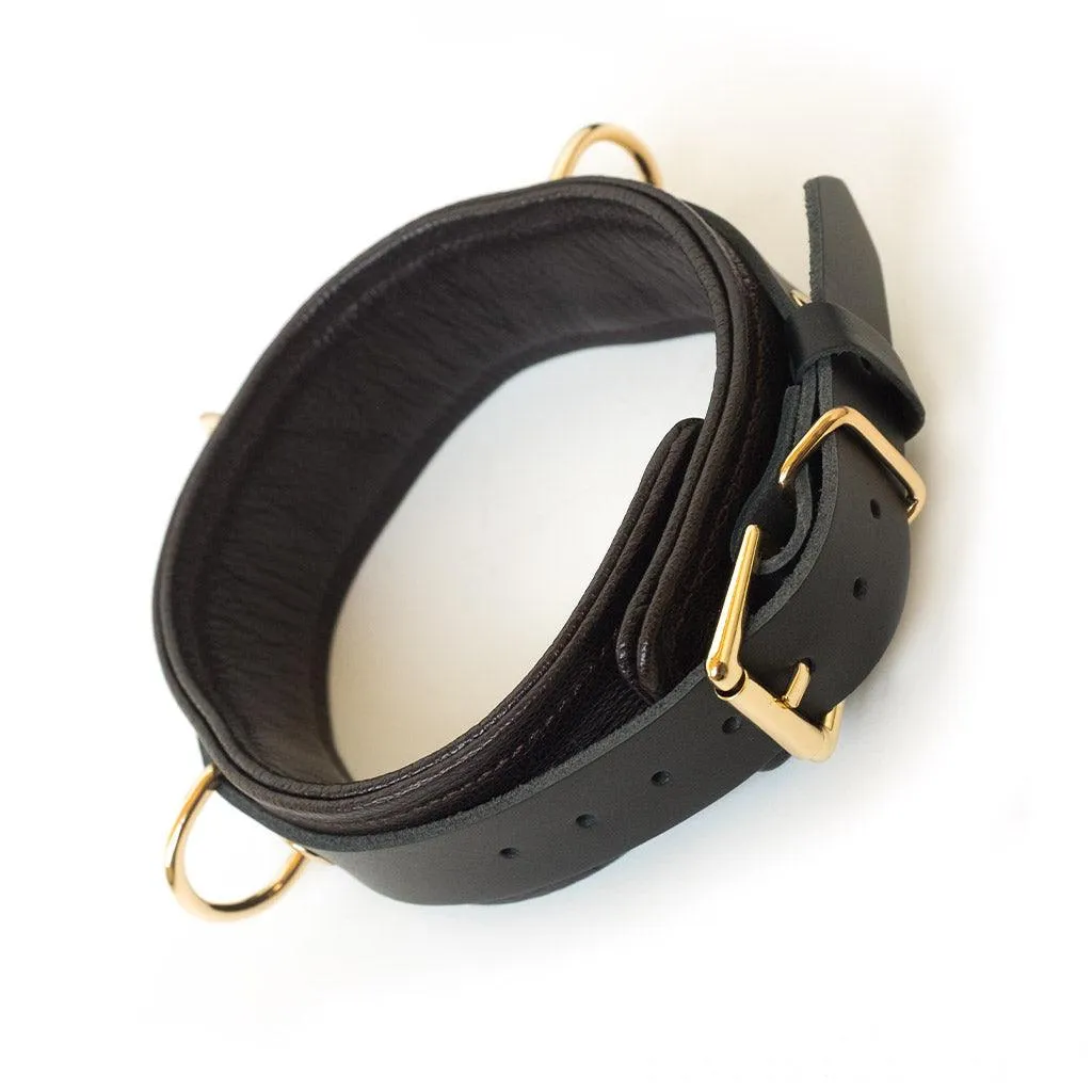 Brown Leather Collar & Leash with Gold Accent Hardware