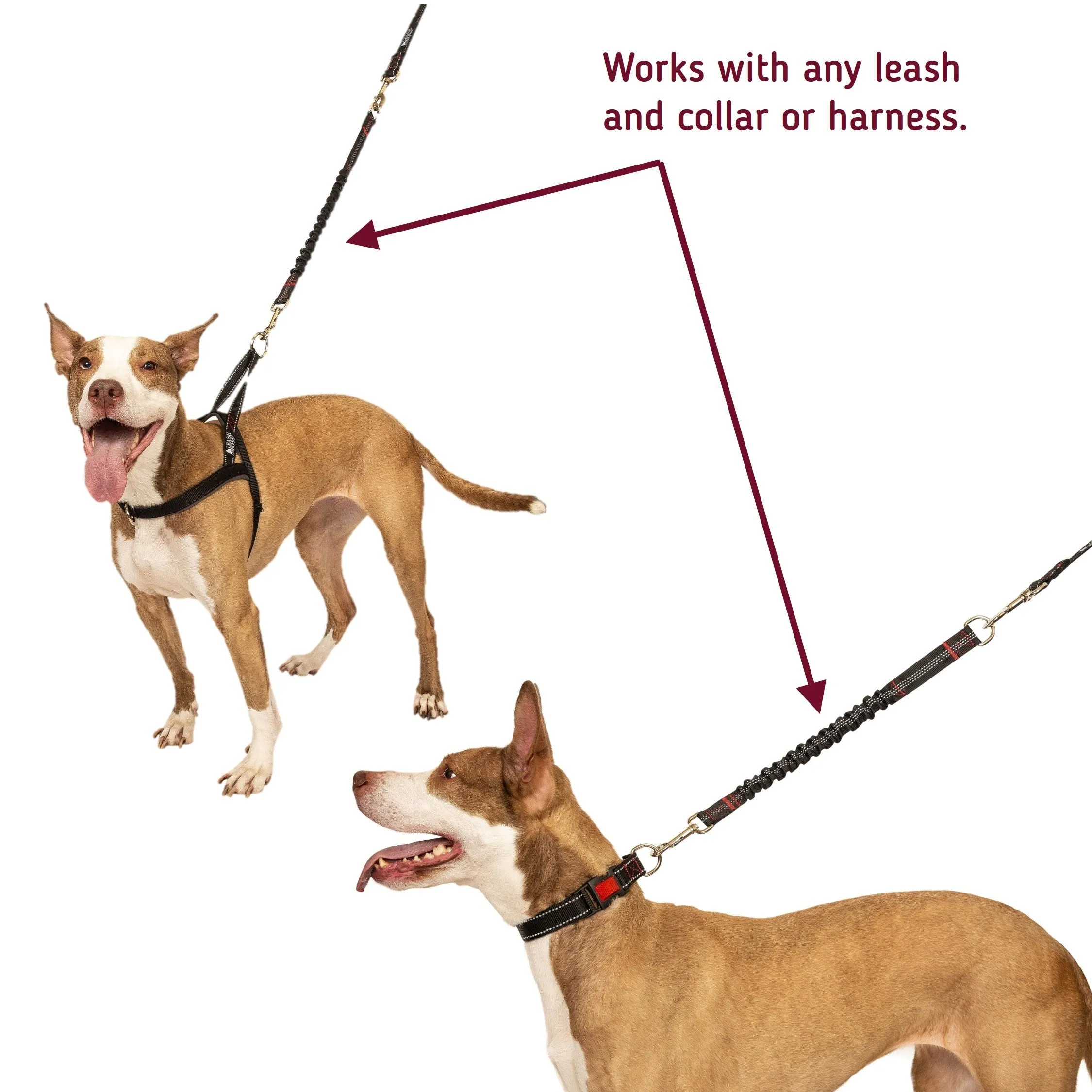 Bungee Leash Extension for Absorbing Shock - 18 Inches