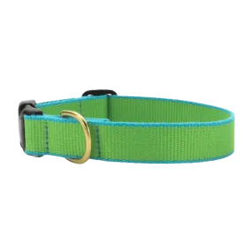 Collar | Lime & Aqua