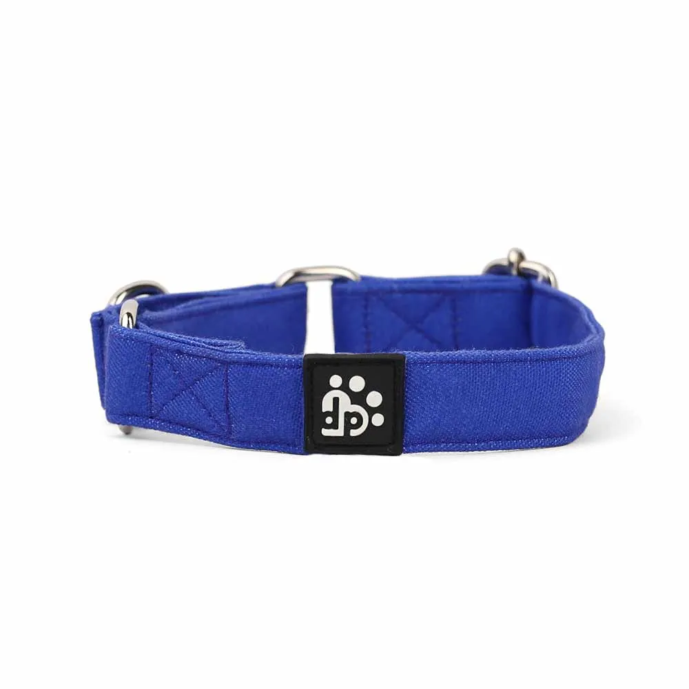 Dear Pet Classic Martingale Blue Dog Collar