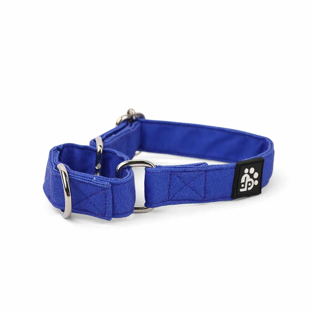 Dear Pet Classic Martingale Blue Dog Collar