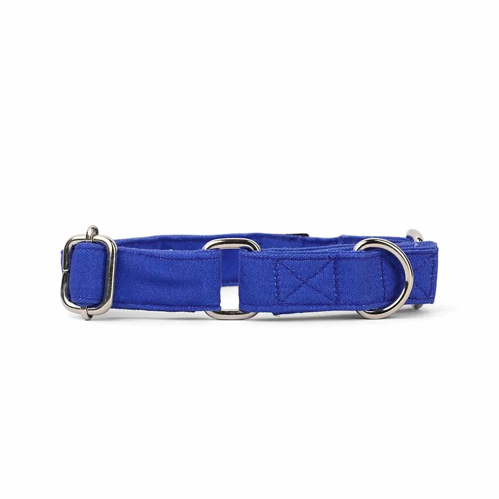 Dear Pet Classic Martingale Blue Dog Collar