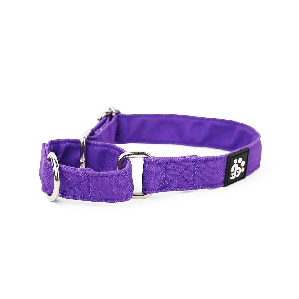 Dear Pet Classic Martingale Purple Dog Collar