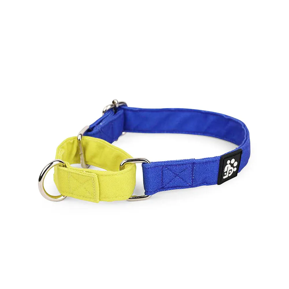 Dear Pet Double Trouble Martingale Blue & Lime Dog Collar