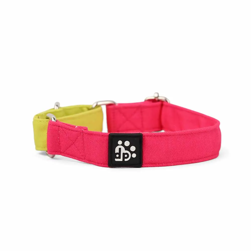 Dear Pet Double Trouble Martingale Pink & Lime Dog Collar