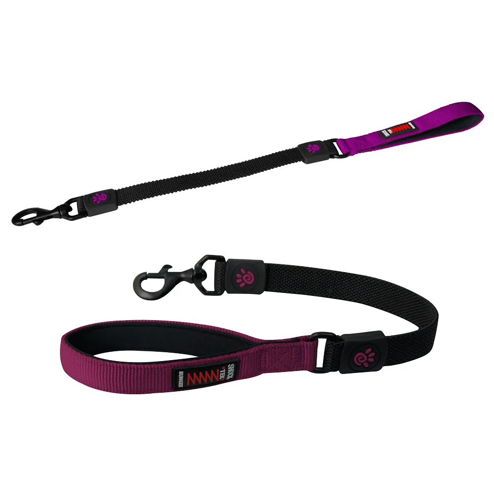 DOCO® 22'' Shock Absorbing BUNGEE Nylon Dog Leash