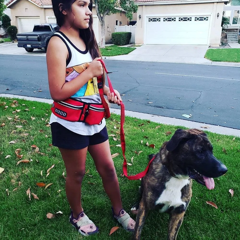 DOCO®Jogging Belt with Bungee Dog Leash Hands Free