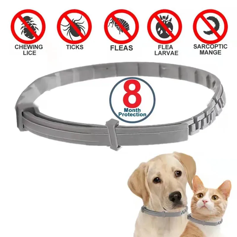 Dog Anti Flea And Ticks Cats Collar