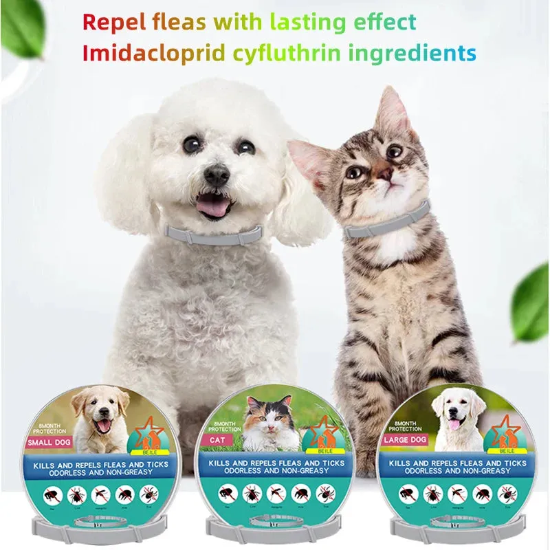 Dog Anti Flea And Ticks Cats Collar