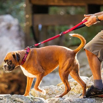 EzyDog ZERO SHOCK™ LEASH