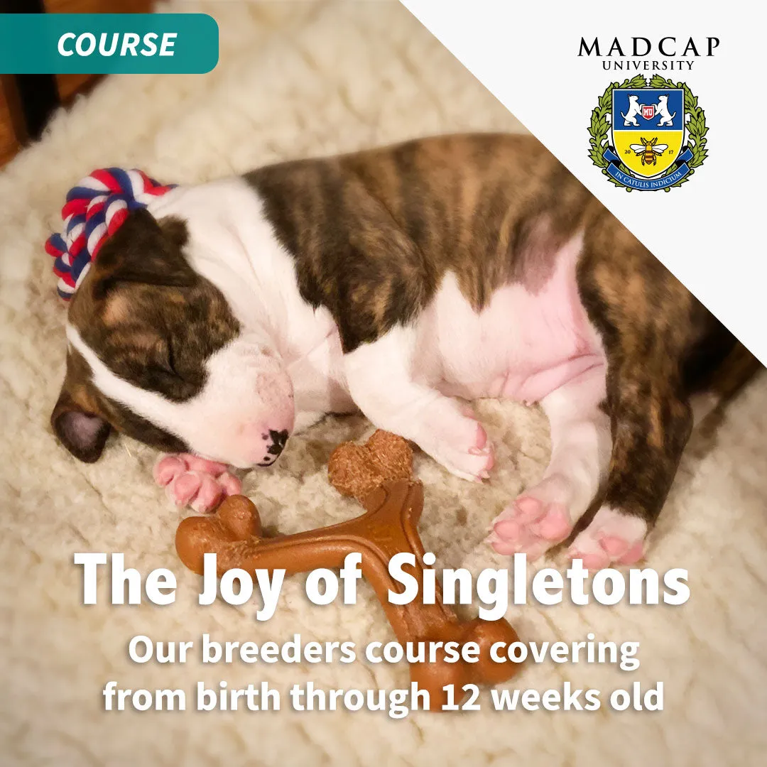 Full Power of Puppy Culture for Singletons