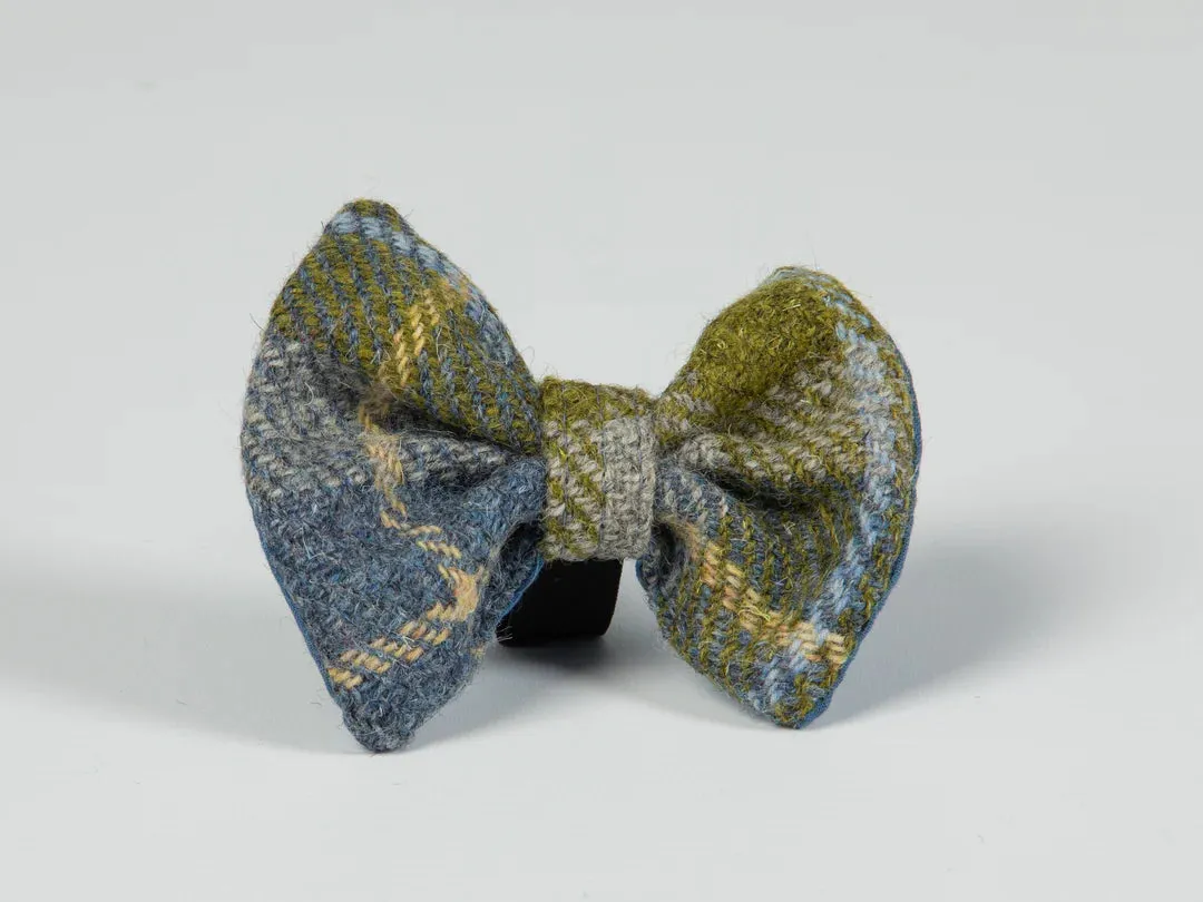 Harris Tweed Luxury Dog Collar Mustard and Blue Check