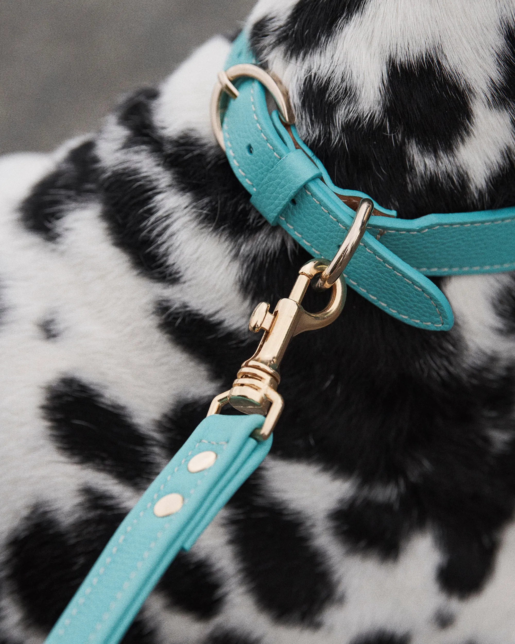 Leather Dog Collar - Paradise/Gold