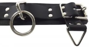 Locking 3-Ring Leather Collar by Spartacus