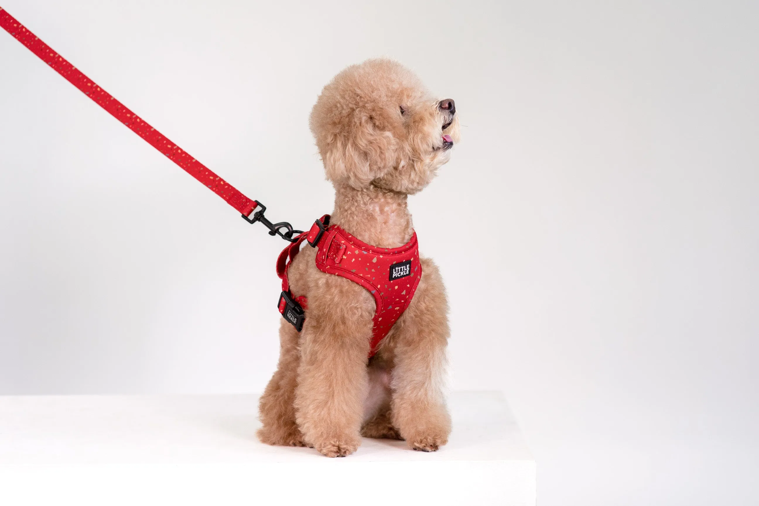 Neo Adjustable Harness in Celebration Red Design