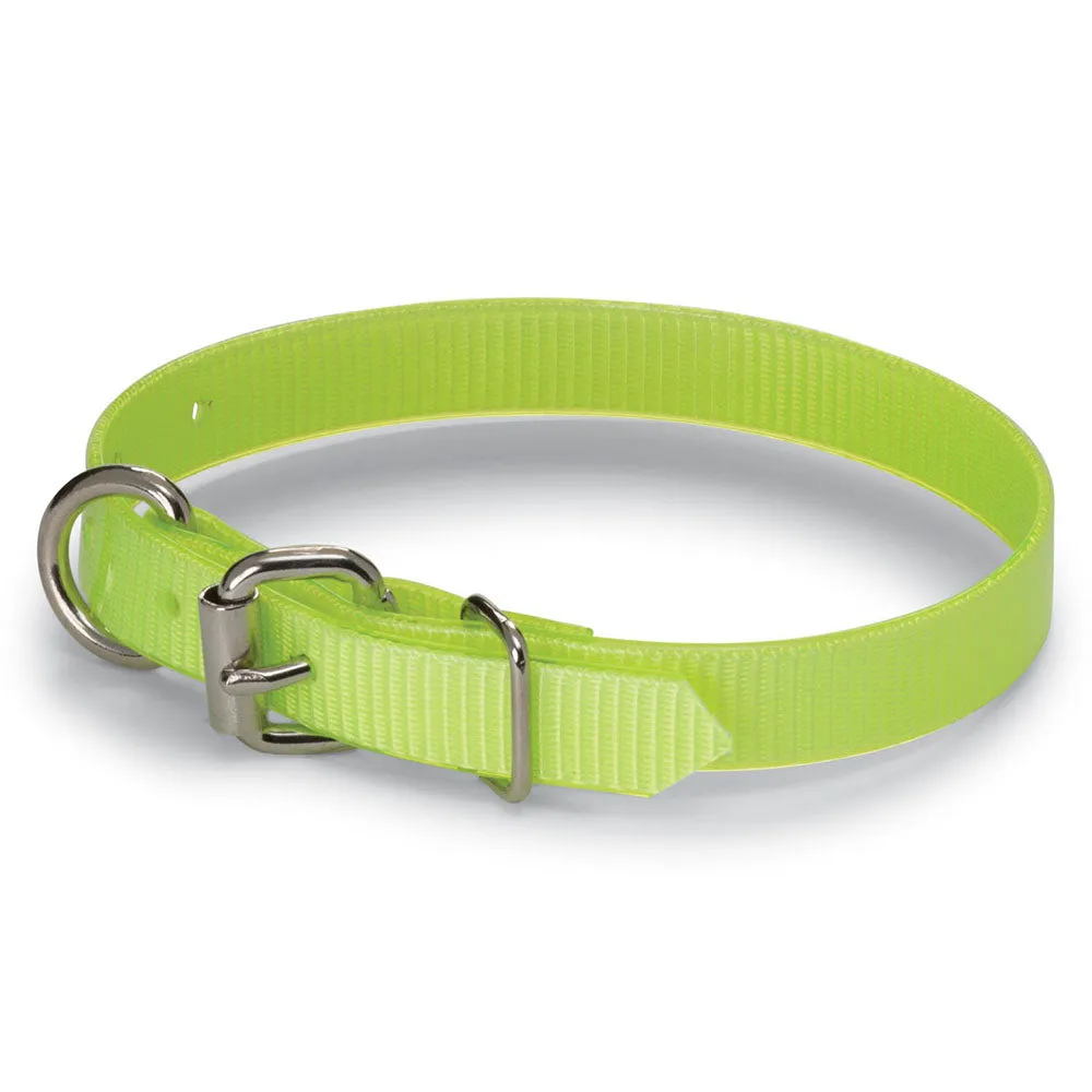 Nite Lite 3/4" Day-Glo Collar D-Ring in Front