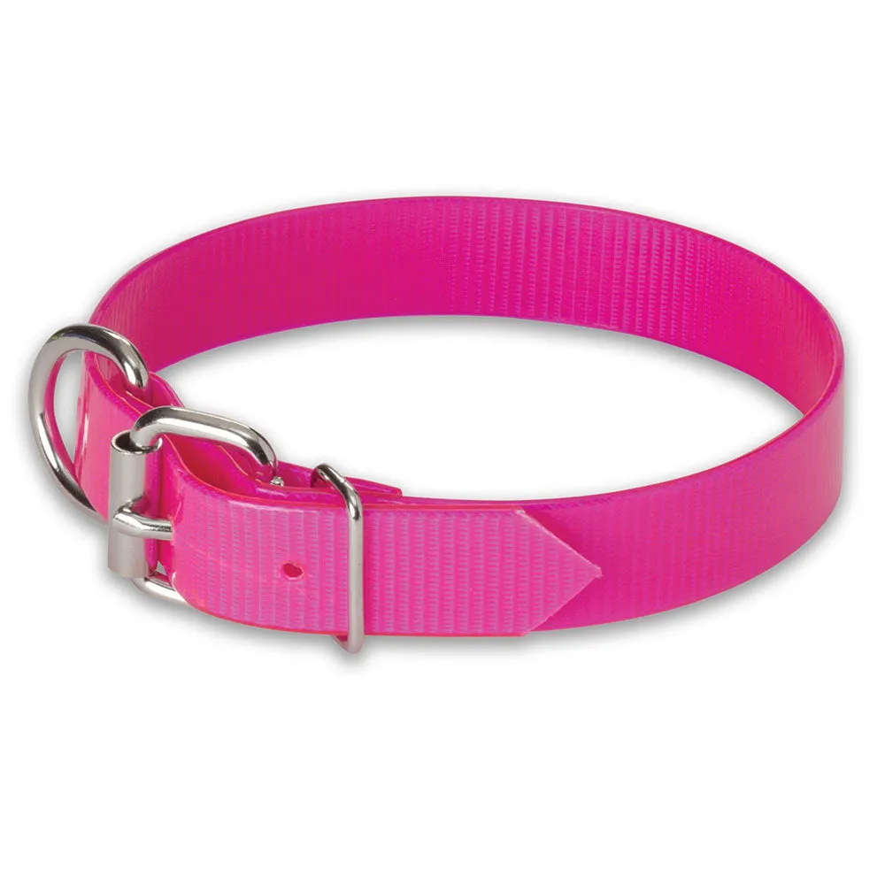 Nite Lite 3/4" Day-Glo Collar D-Ring in Front