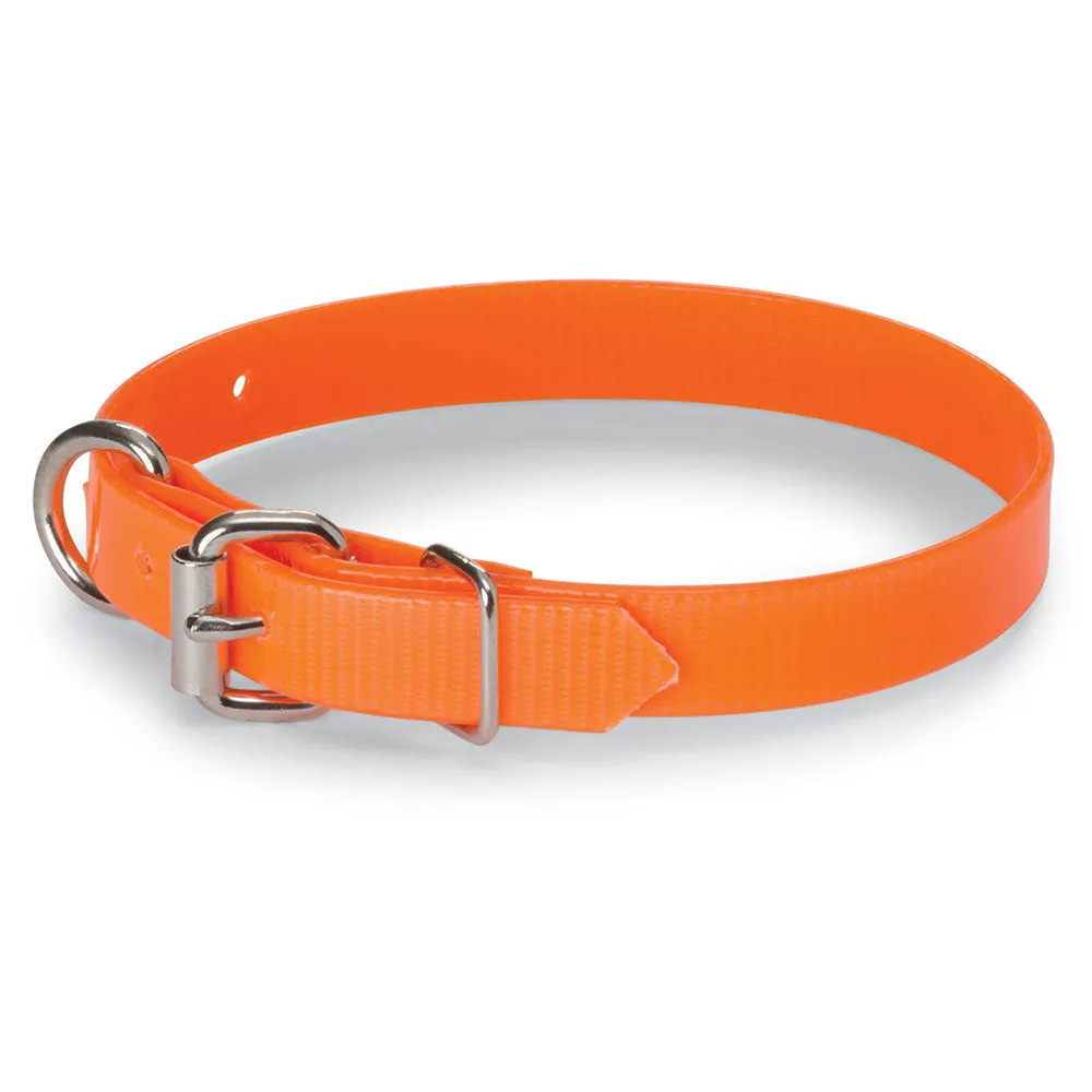 Nite Lite 3/4" Day-Glo Collar D-Ring in Front