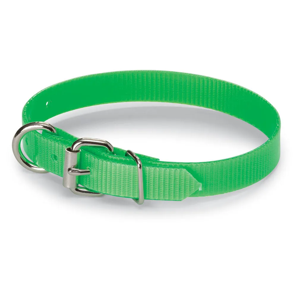 Nite Lite 3/4" Day-Glo Collar D-Ring in Front