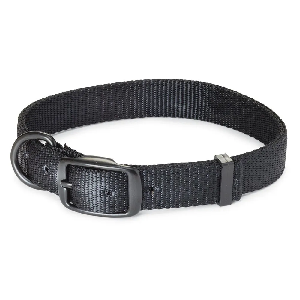 Nite Lite Double Ply Nylon 1" D-Ring in Front Black Dog Collar