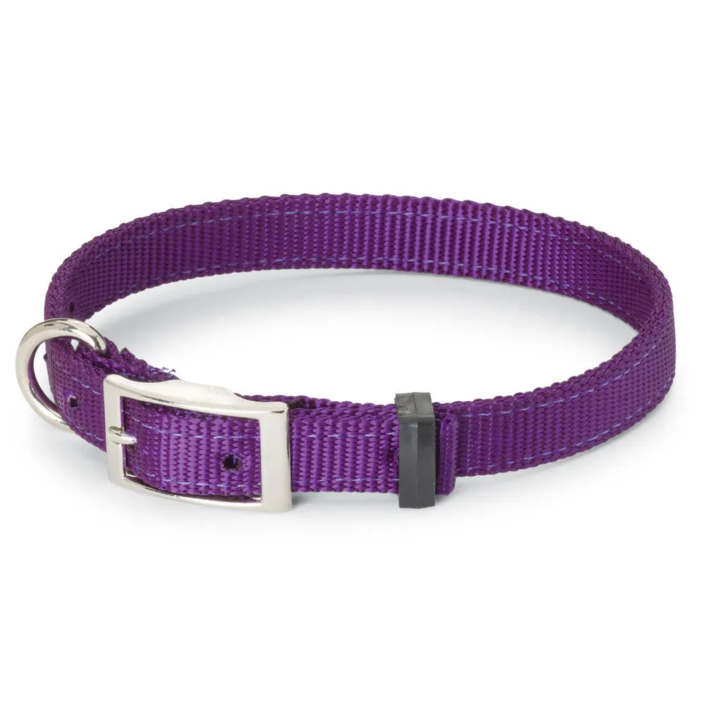 Nite Lite Double Ply Nylon 1" D-Ring in Front Dog Collar