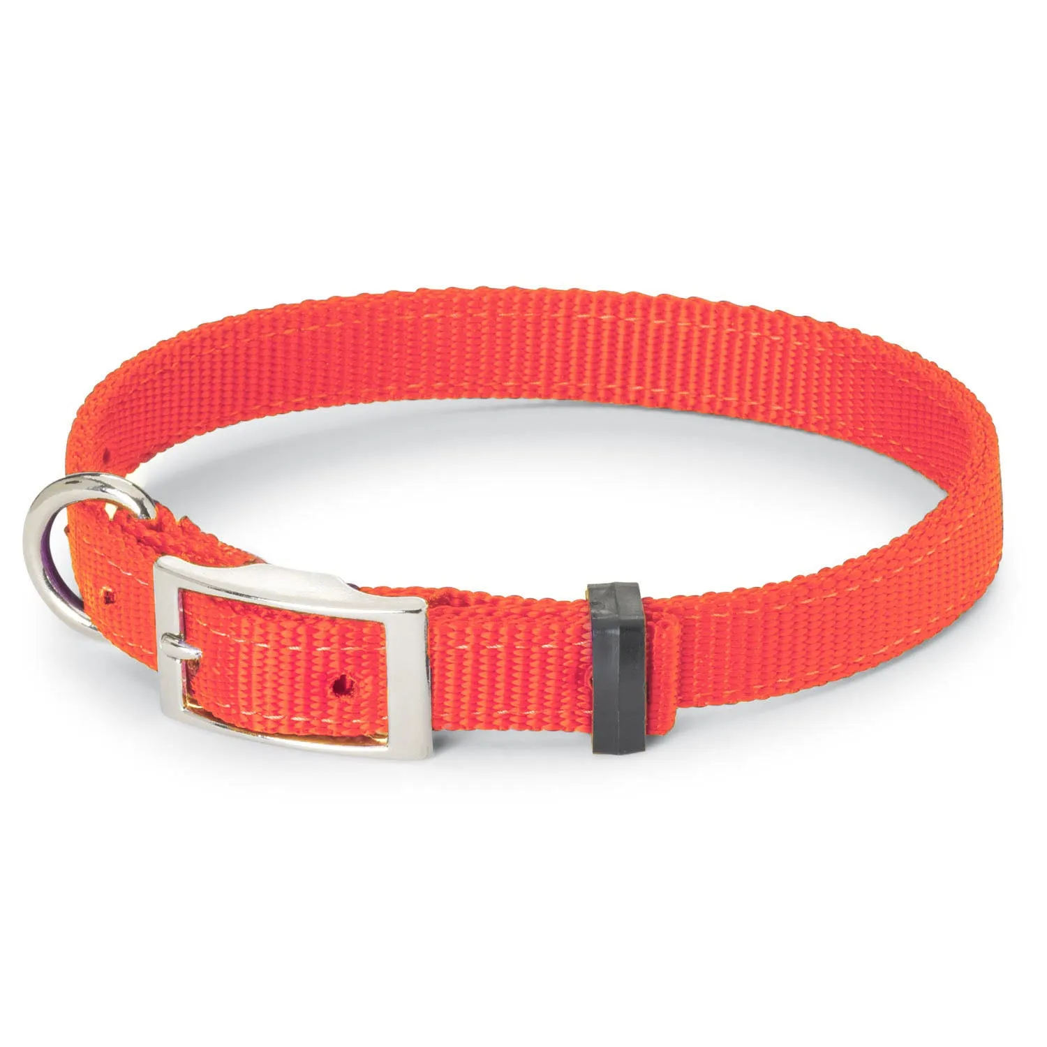 Nite Lite Double Ply Nylon 1" D-Ring in Front Dog Collar