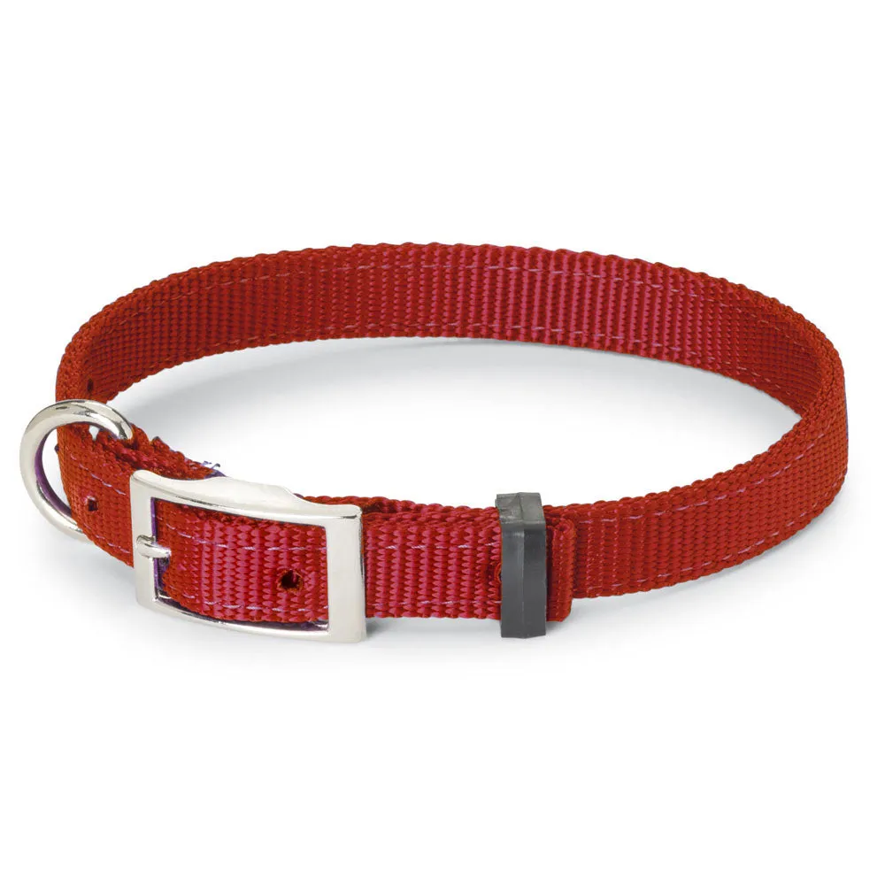 Nite Lite Double Ply Nylon 1" D-Ring in Front Dog Collar