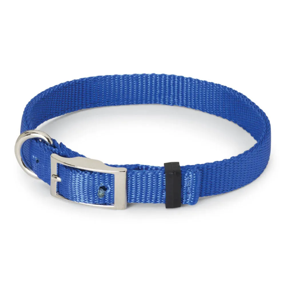 Nite Lite Double Ply Nylon 1" D-Ring in Front Dog Collar