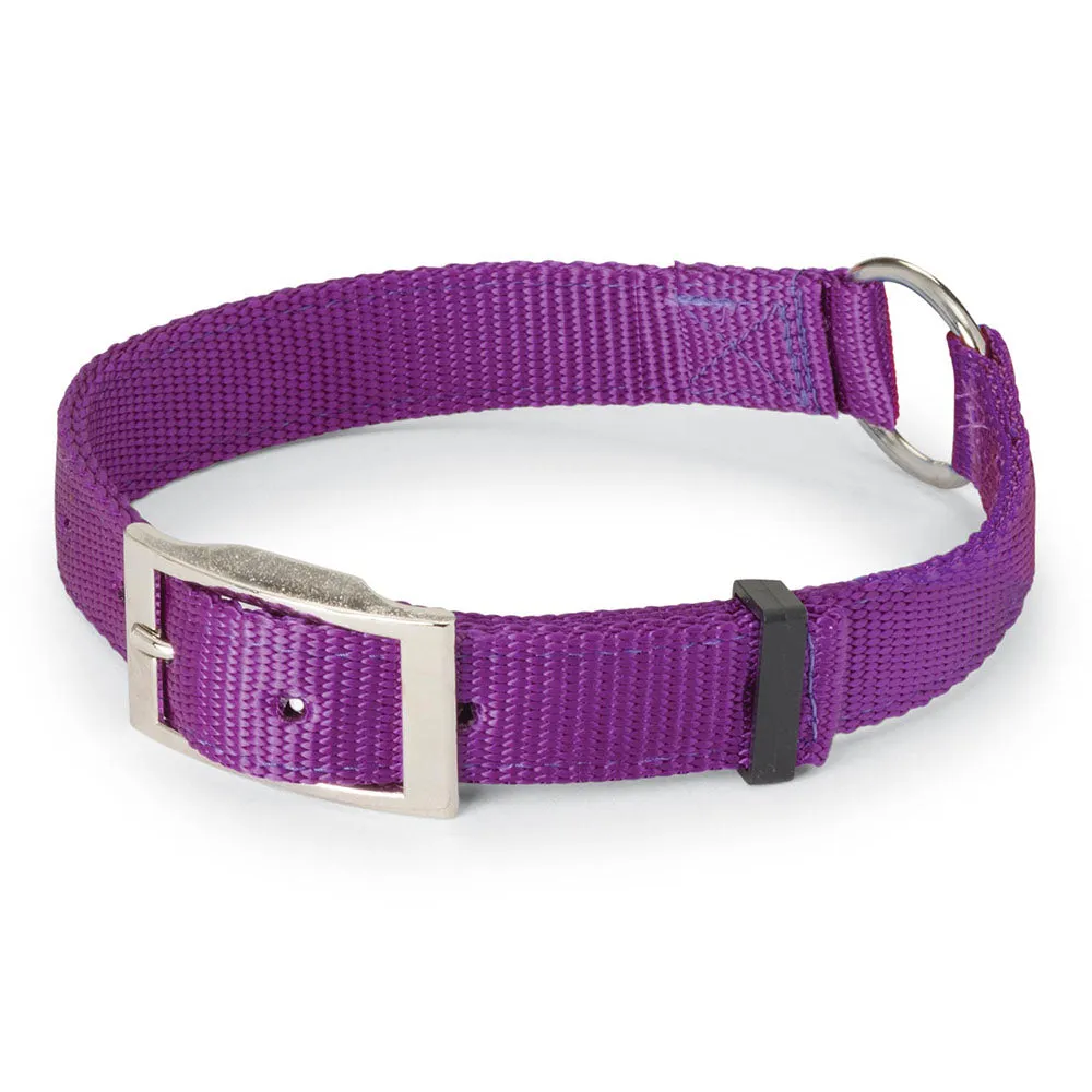 Nite Lite Double Ply Nylon 1" Ring-N-Center Dog Collar