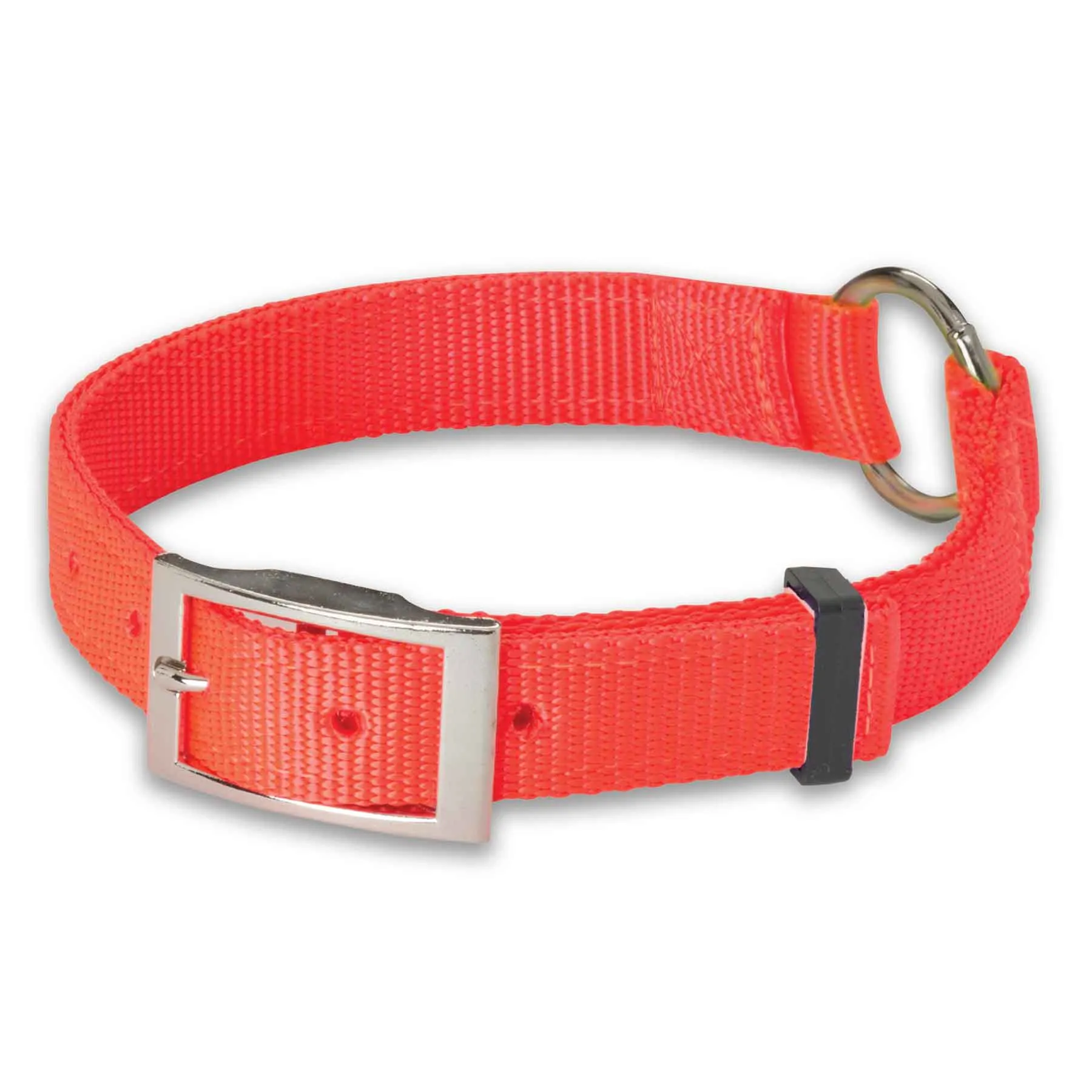 Nite Lite Double Ply Nylon 3/4 " Ring-N-Center Dog Collar