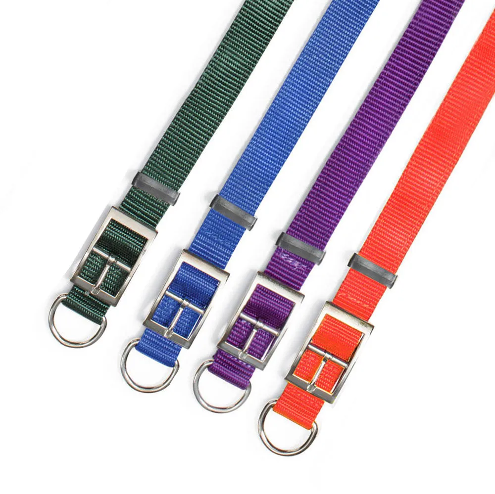 Nite Lite Double Ply Nylon 3/4" D-Ring in Front Dog Collar