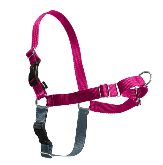 PetSafe Easy Walk Raspberry & Gray Dog Harness (Small / Medium)