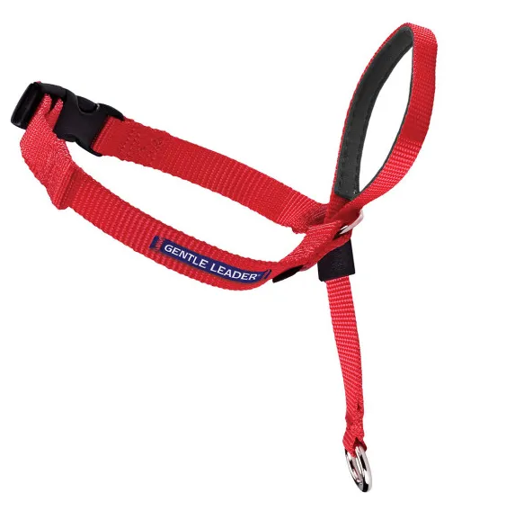 Petsafe Gentle Leader Quick Release Red Headcollar for Dogs (Extra Large, over 130 lbs)