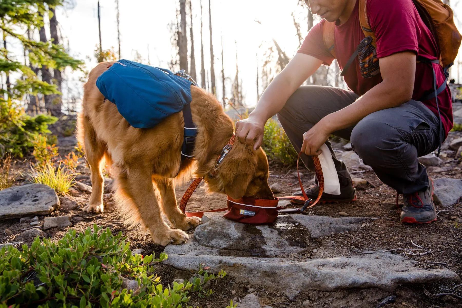 Ruffwear Flat Out™ Patterned & Multi-Use Dog Leash (New River)