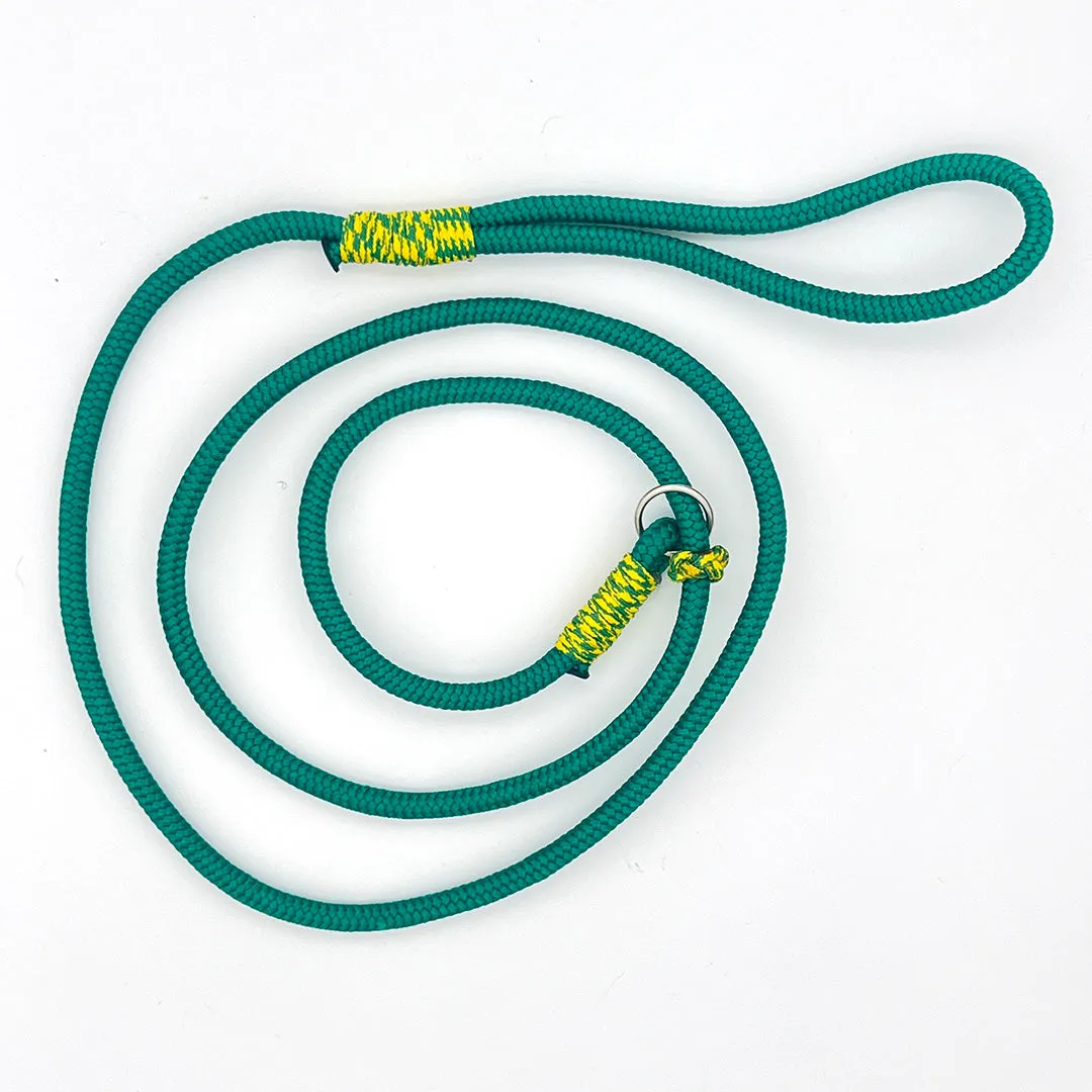 Slip Lead for Dogs Small