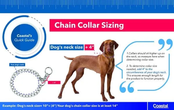 Titan Easy-On Dog Prong Training Collar with Buckle